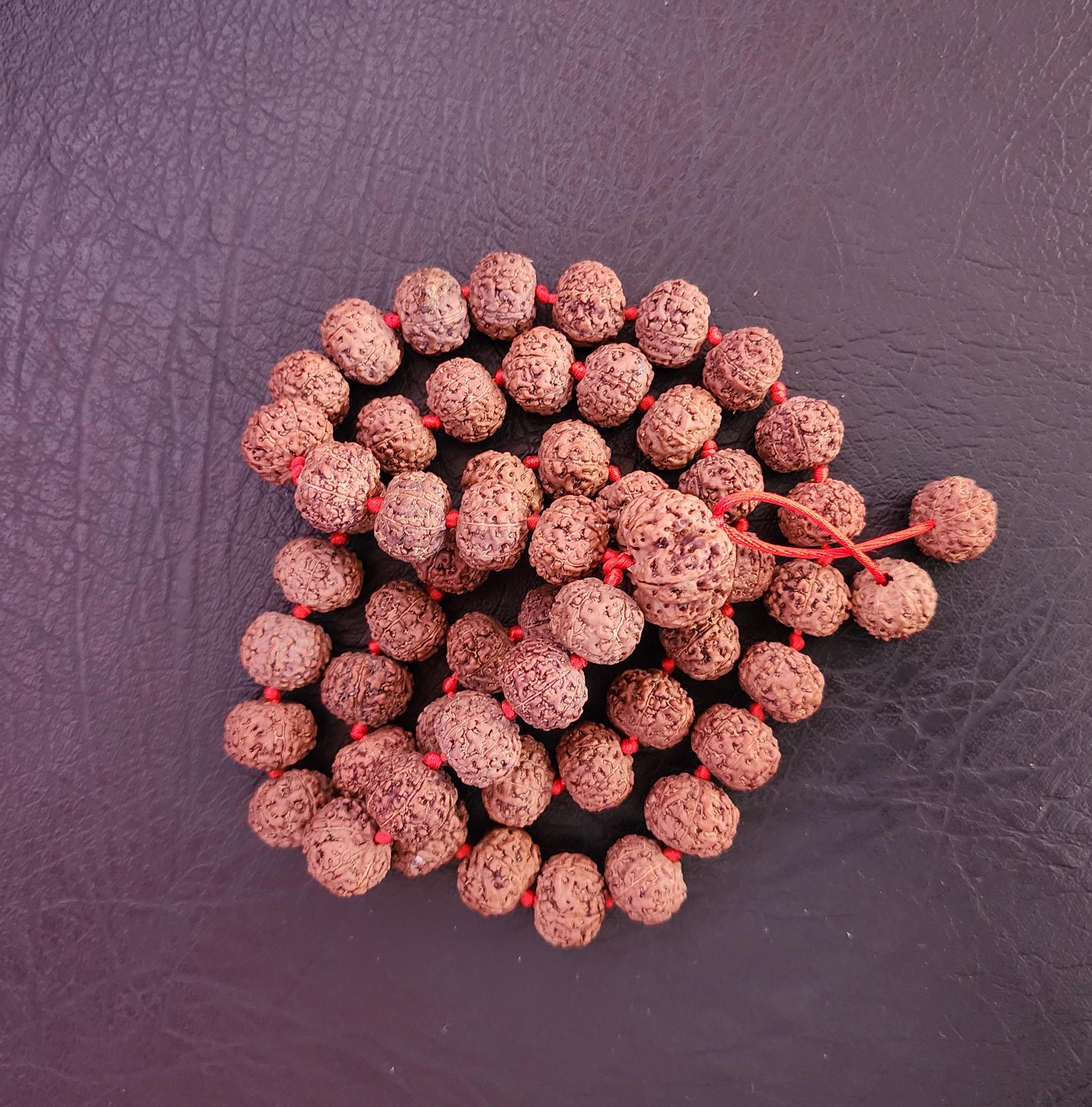 8 Mukhi Ganesha Rudraksha Mala: Personalized Prayer Beads