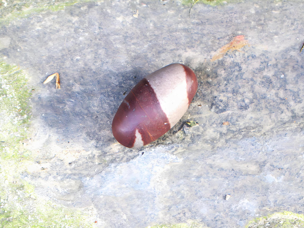 Narvada Shiva Linga – Sacred Narvadeshwor Linga Stone For Energy, Balance, And Spiritual Transformation