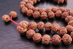 8 Mukhi Ganesha Rudraksha Mala: Personalized Prayer Beads