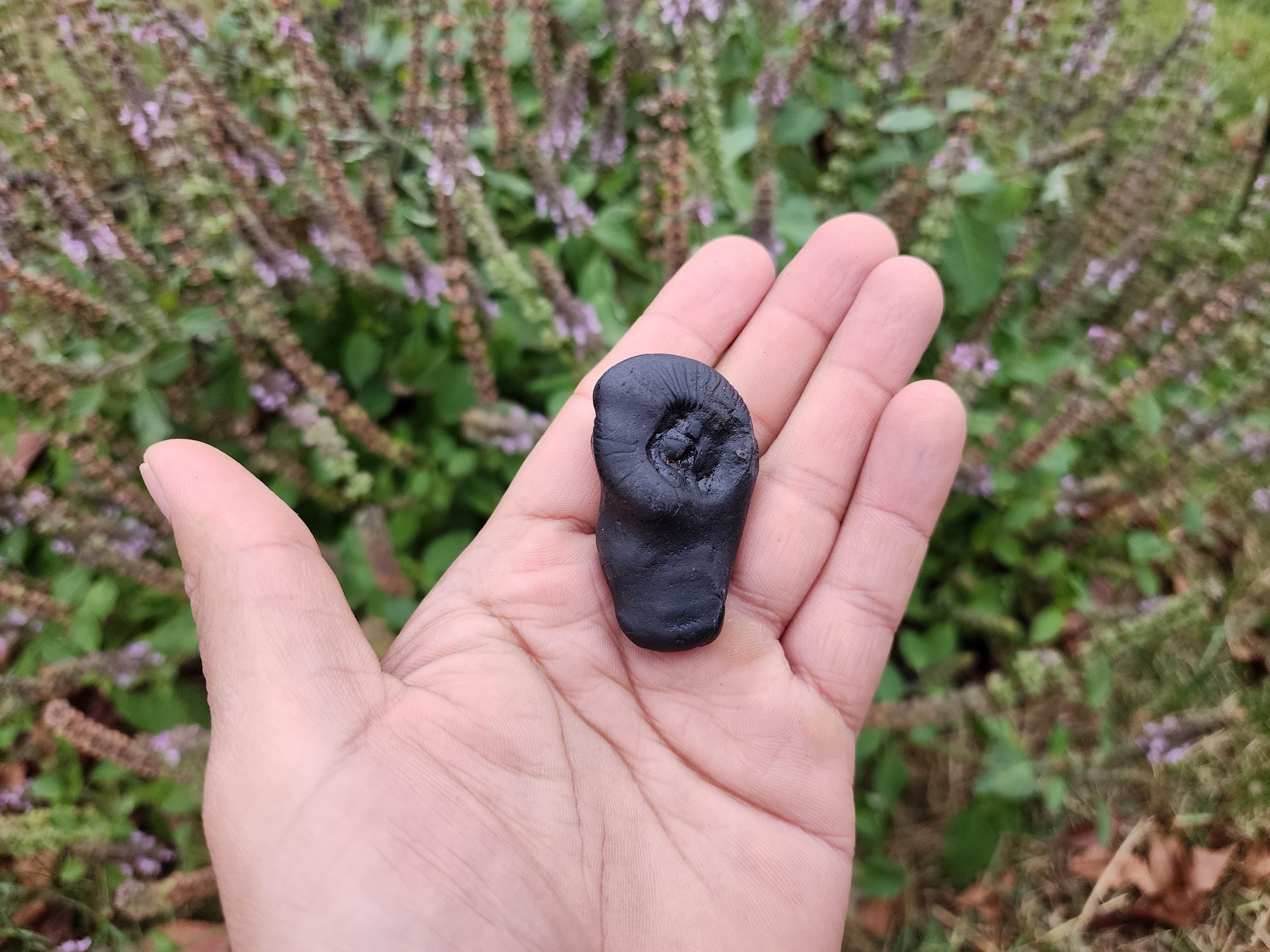 Vishnu Shaligram Stone: Sacred Himalayan Stone for Puja Altar