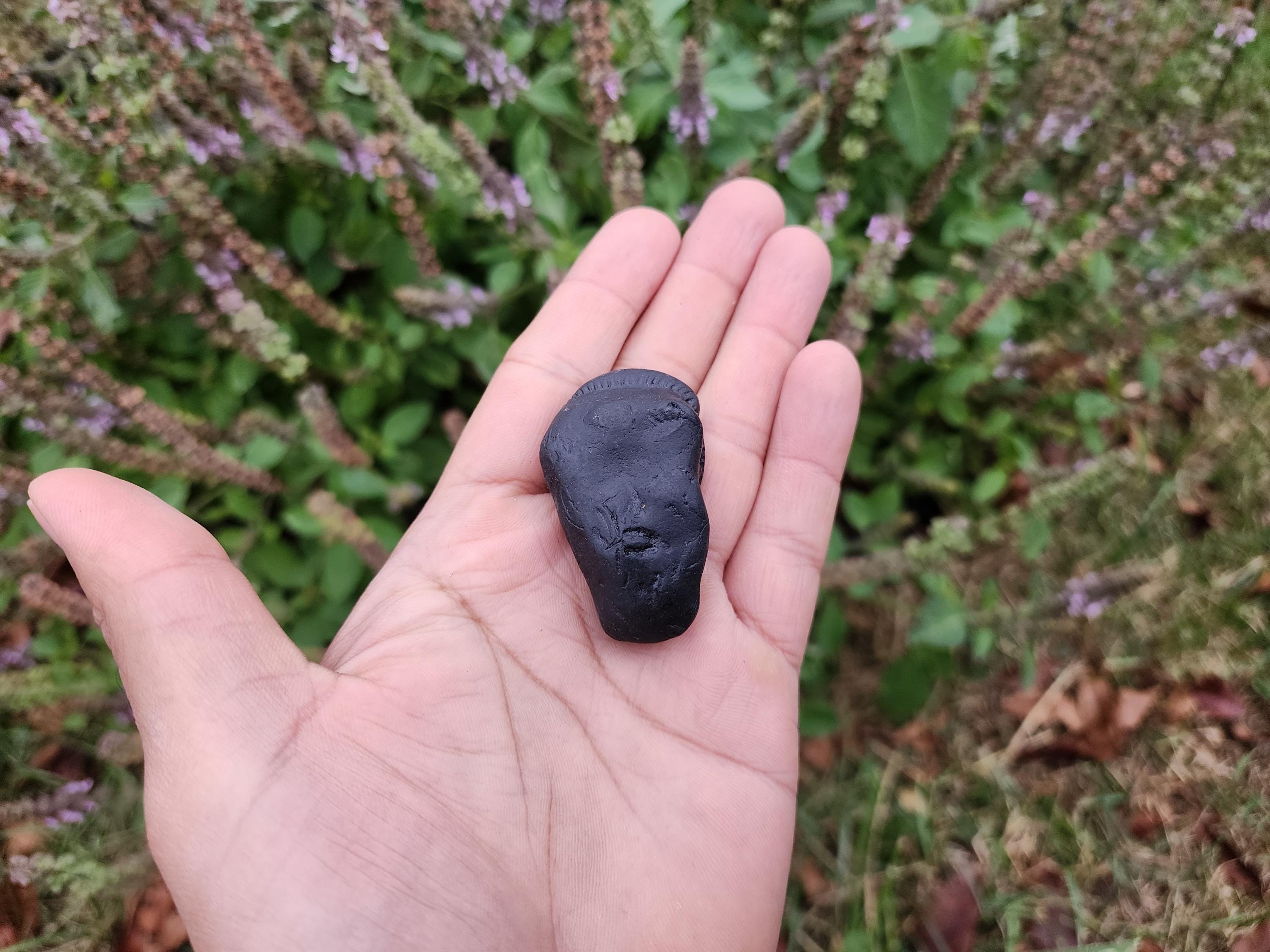 Vishnu Shaligram Stone: Sacred Himalayan Stone for Puja Altar