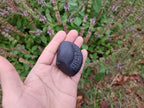 Half Moon Shaligram Stone: Divine Feminine Energy, Sacred Nepal Stone