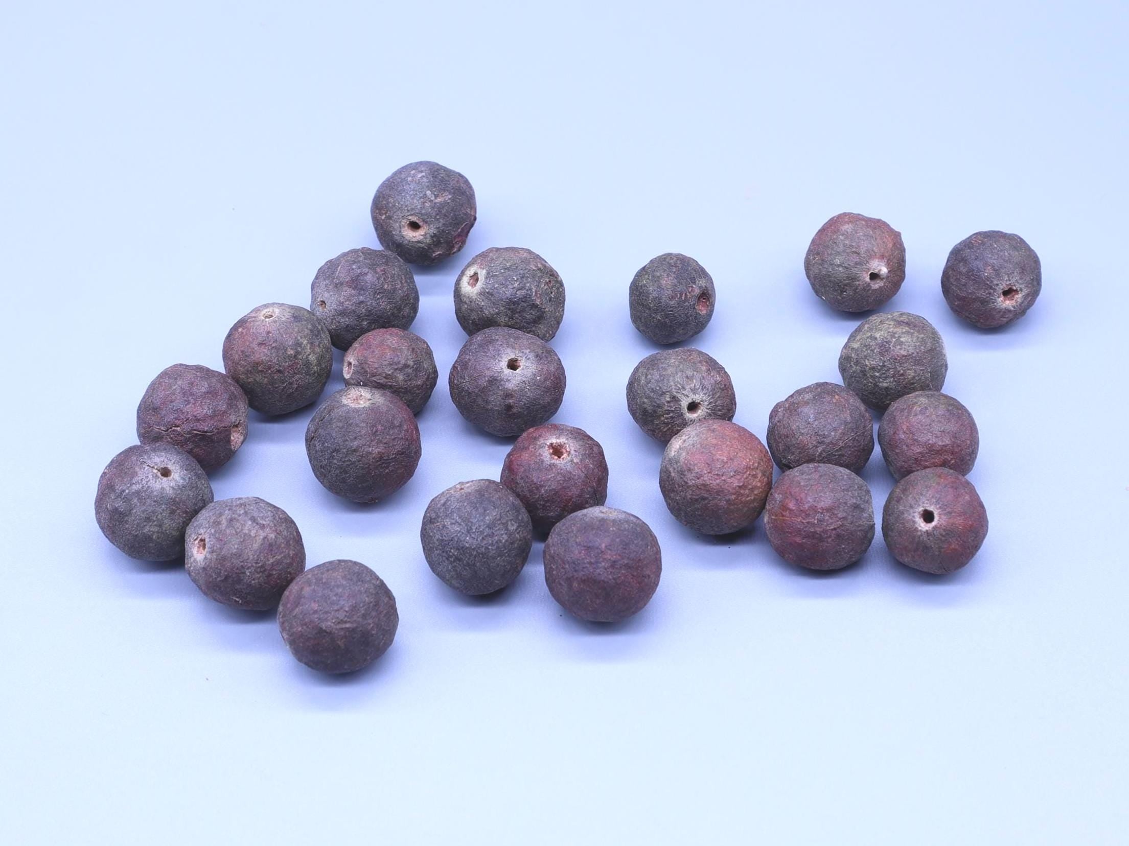 Raw Rudraksha Seeds with Shell | DIY Mala Bracelet Beads