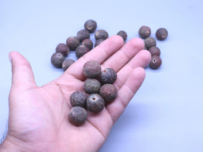 A handful of authentic Rudraksha beads held in an open palm against a light gray background.