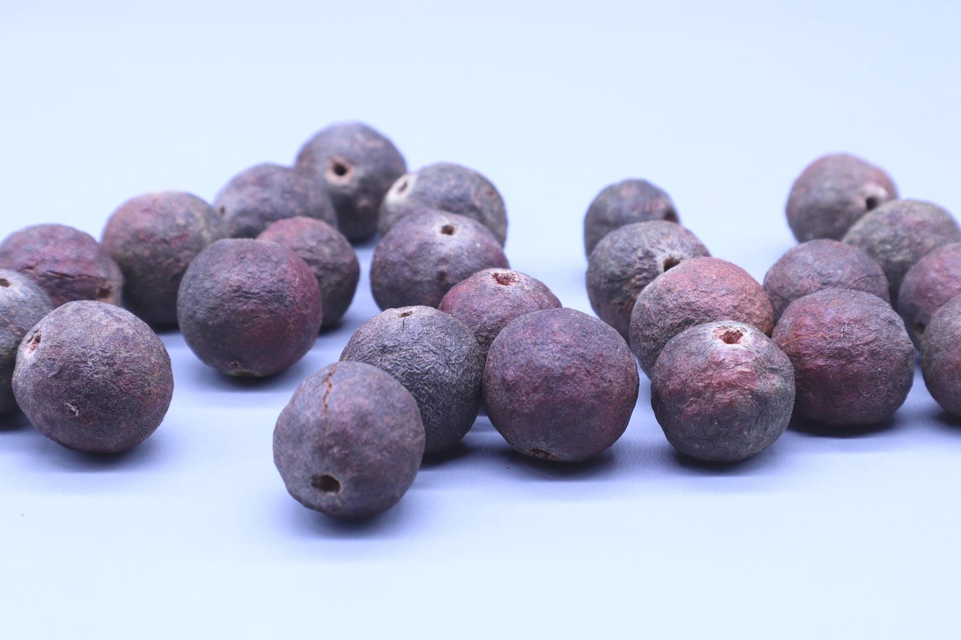 Raw Rudraksha Seed With Shell | Natural Rudraksha Beads | DIY Rudraksha Mala, Bracelet | 100% Real Rudraksha Seeds Hand Picked In Nepal