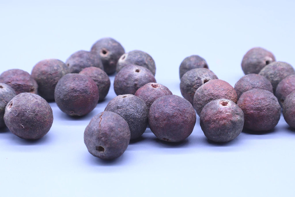 Raw Rudraksha Seeds with Shell | DIY Mala Bracelet Beads