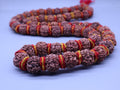 Large Rudraksha Bead Mala: 54 or 108 Beads, Natural Nepal Necklace