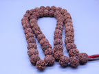 Rudraksha Kanthi Mala Necklace: Om Shiva Prayer Beads From Nepal