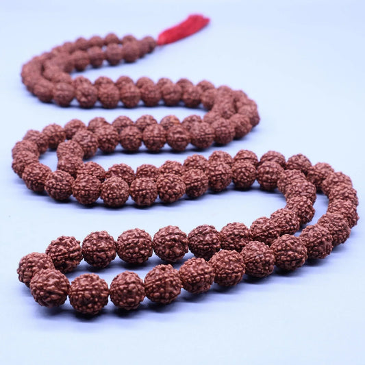 Authentic brown Rudraksha bead mala necklace on a light blue background