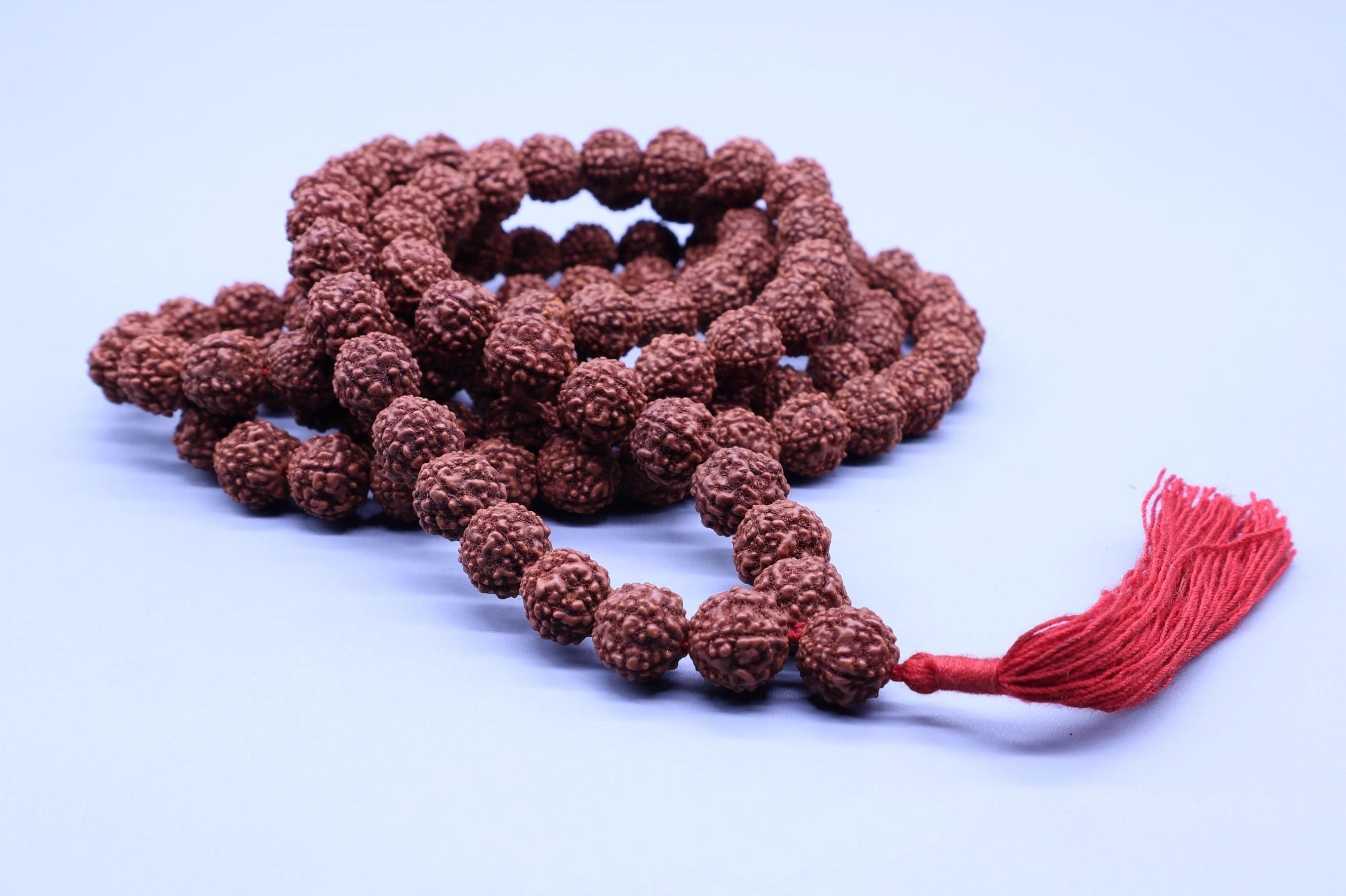 Shiva Prayer Beads Mala, 108+1 Natural Indian Origin Rudraksha Seed Japa Mala, Gifts Included