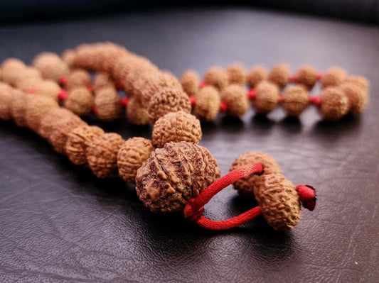 Authentic brown Rudraksha prayer beads mala with red string on a dark background