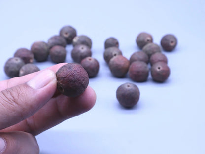 A hand holding a single brown Rudraksha bead with others scattered in the background.