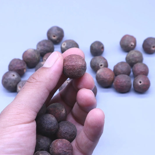 A person holding a single reddish-brown Rudraksha bead among several others on a plain background.