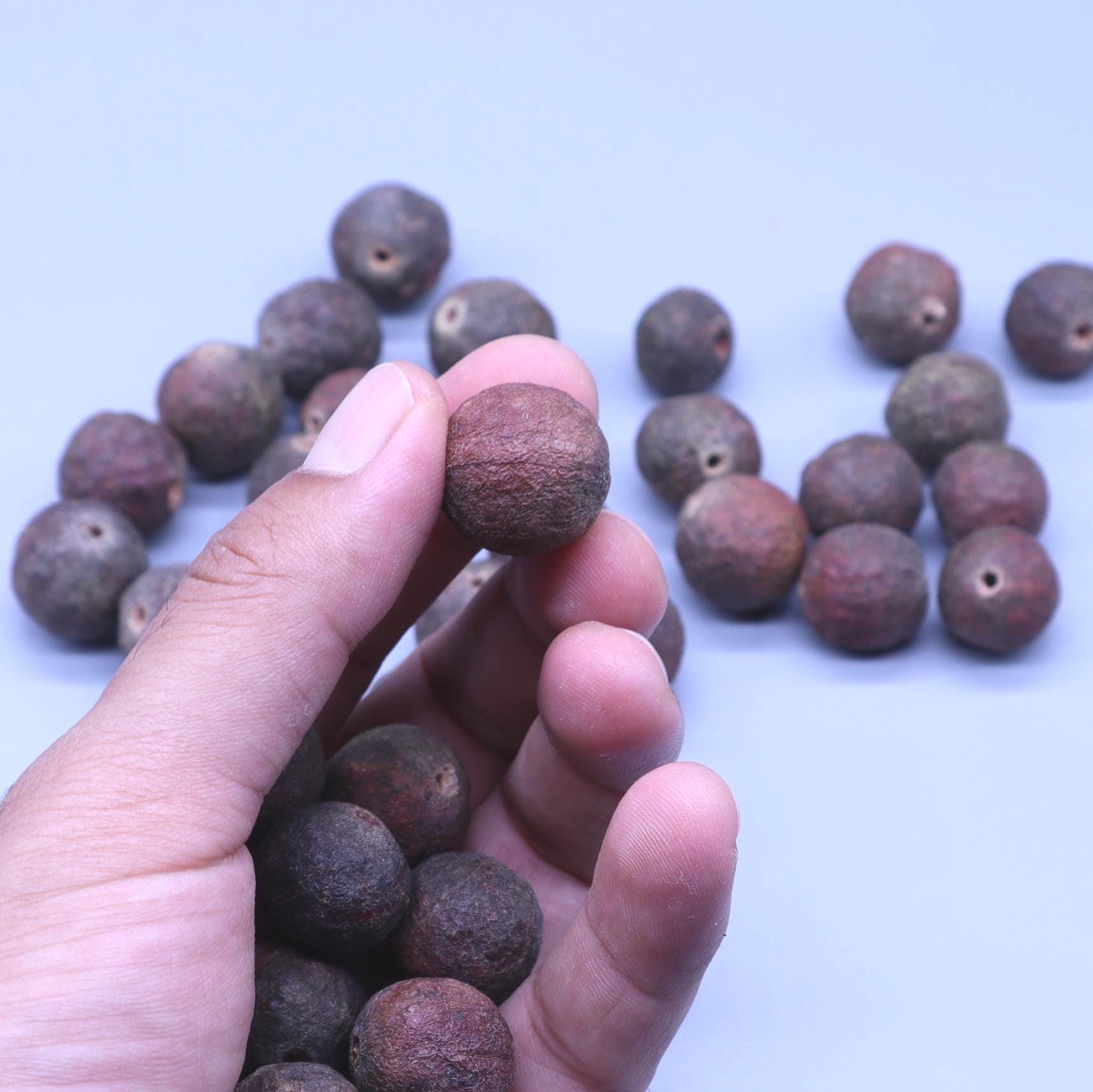 Raw Rudraksha Seeds with Shell | DIY Mala Bracelet Beads