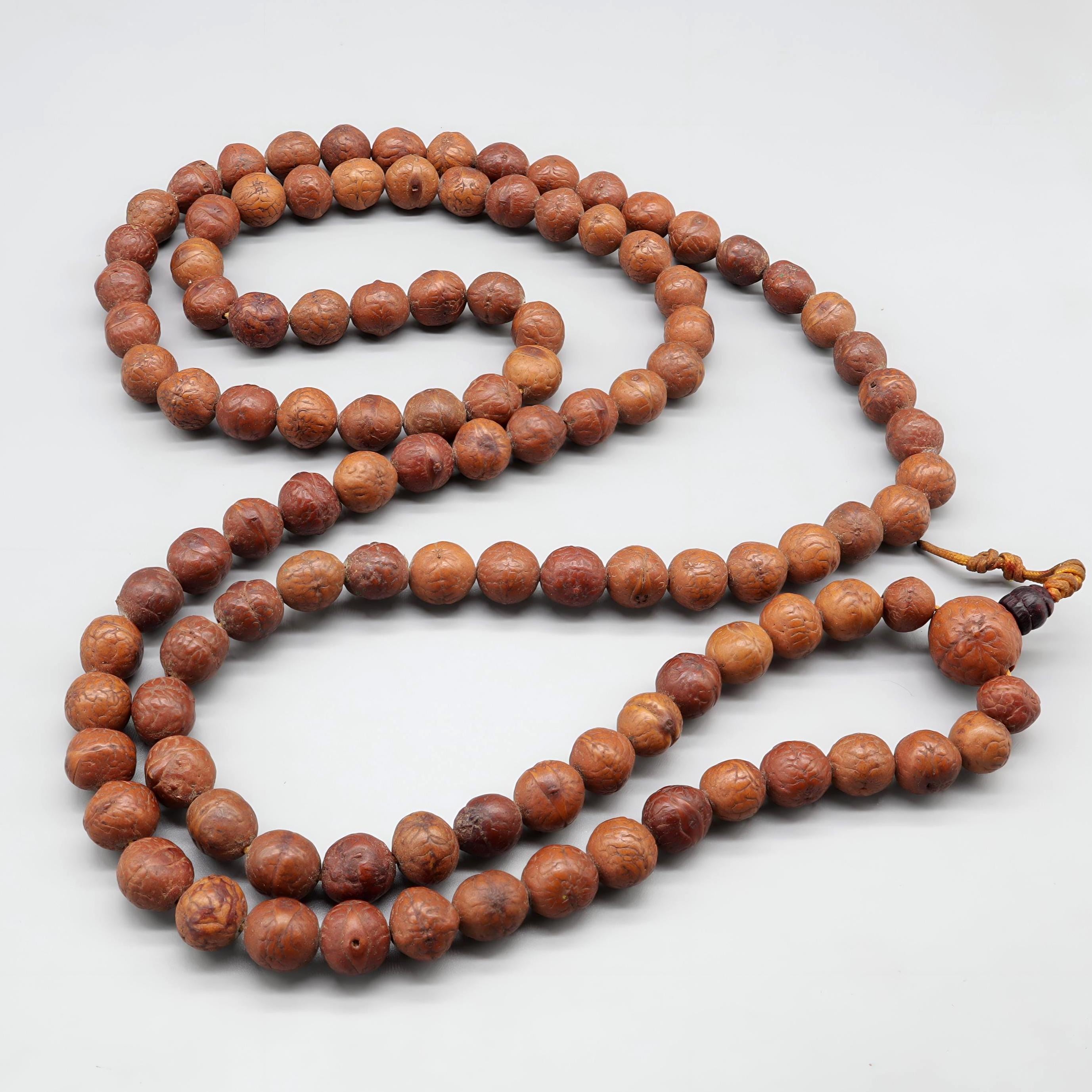 Rare Bodhi Seed Japa Mala: 9-10mm Buddha Chitta Beads, Blessed Tibetan Prayer Necklace