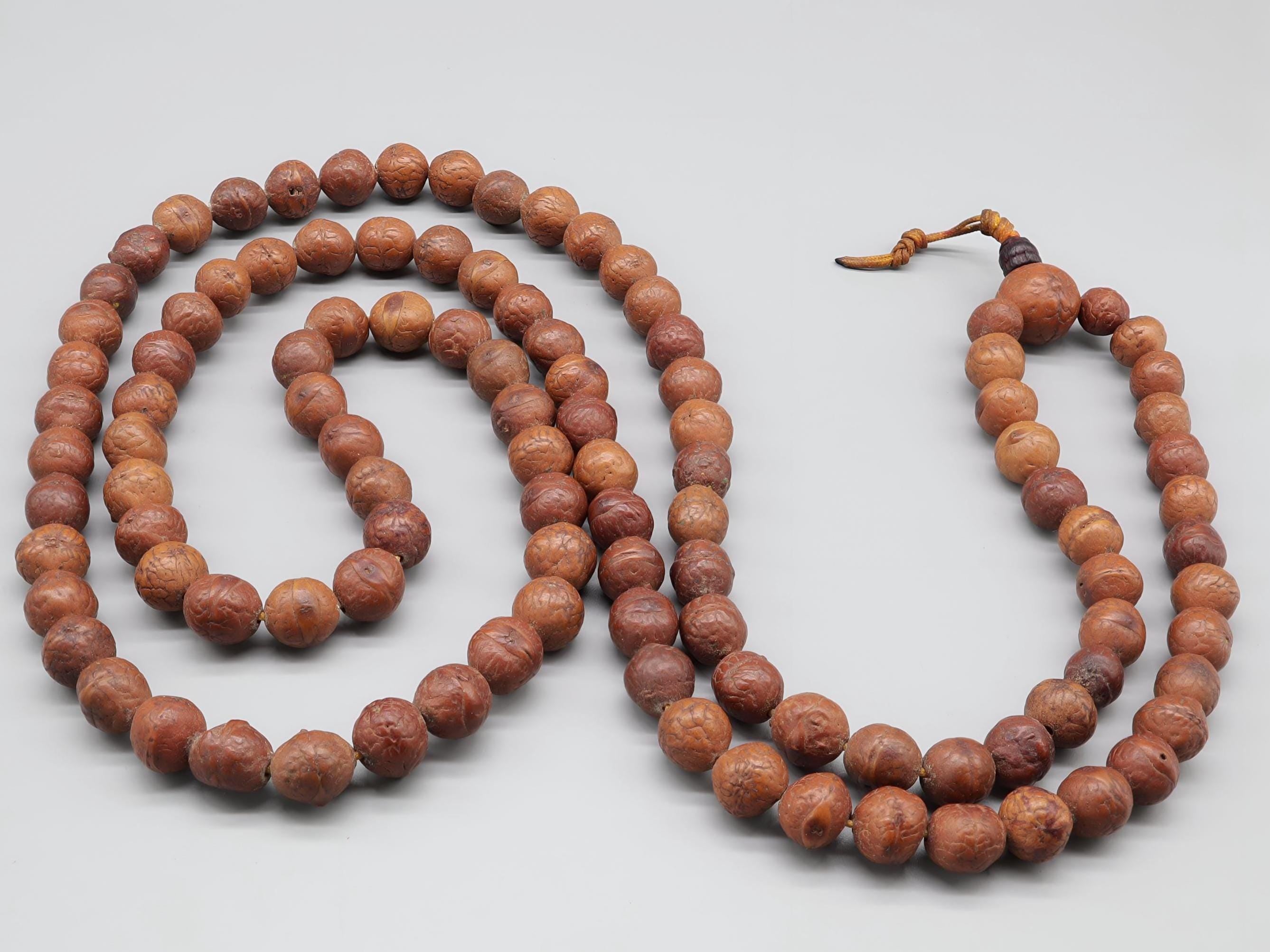 Rare Bodhi Seed Japa Mala: 9-10mm Buddha Chitta Beads, Blessed Tibetan Prayer Necklace