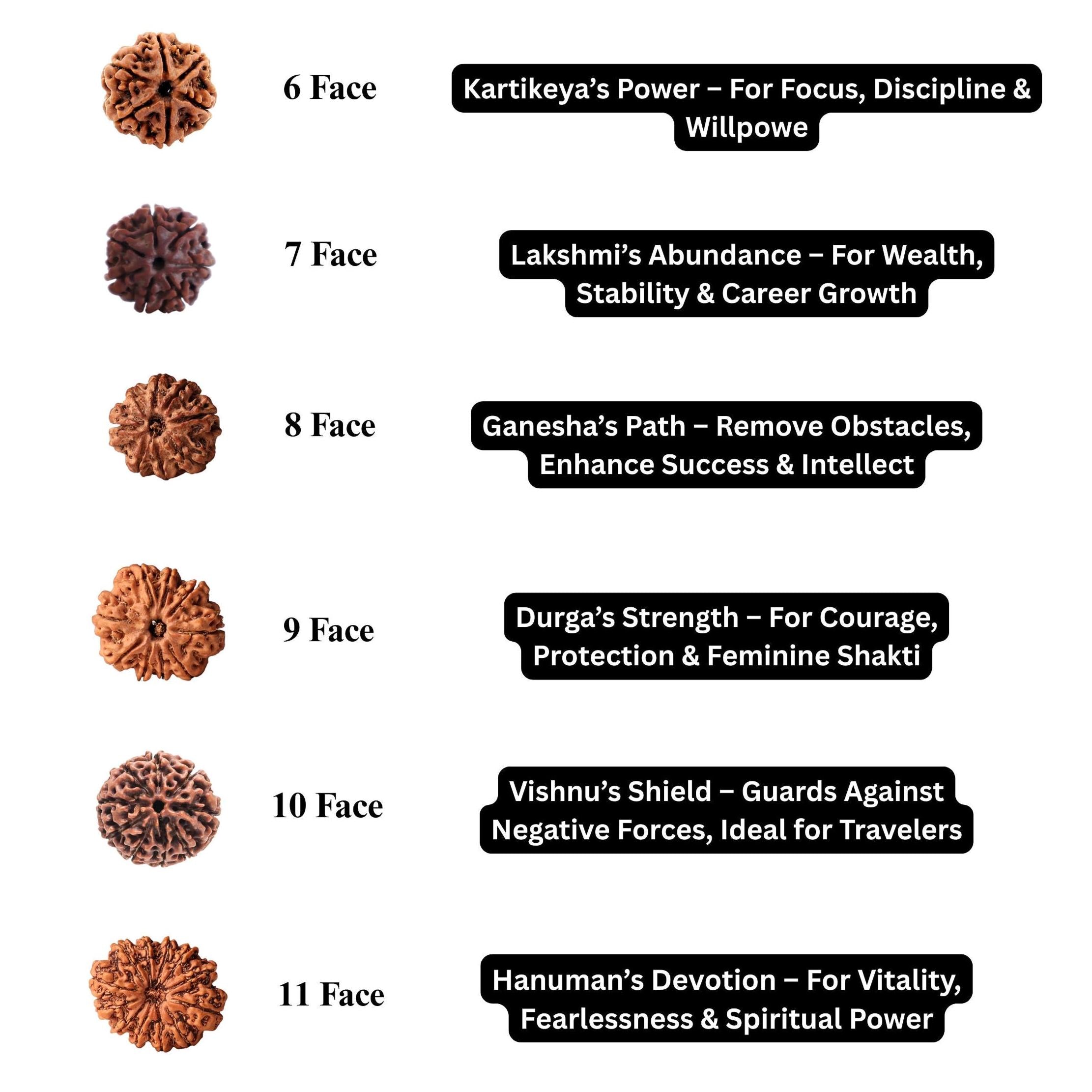 1 to 16 Faces (Mukhi) Premium Nepal Rudraksha, Collector Grade Large Himalayan Rudraksha Beads Spiritually Charged And Shipped From Nepal