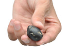 Rare 3-Chakra Varaha Shaligram Stone: Fortune & Luck