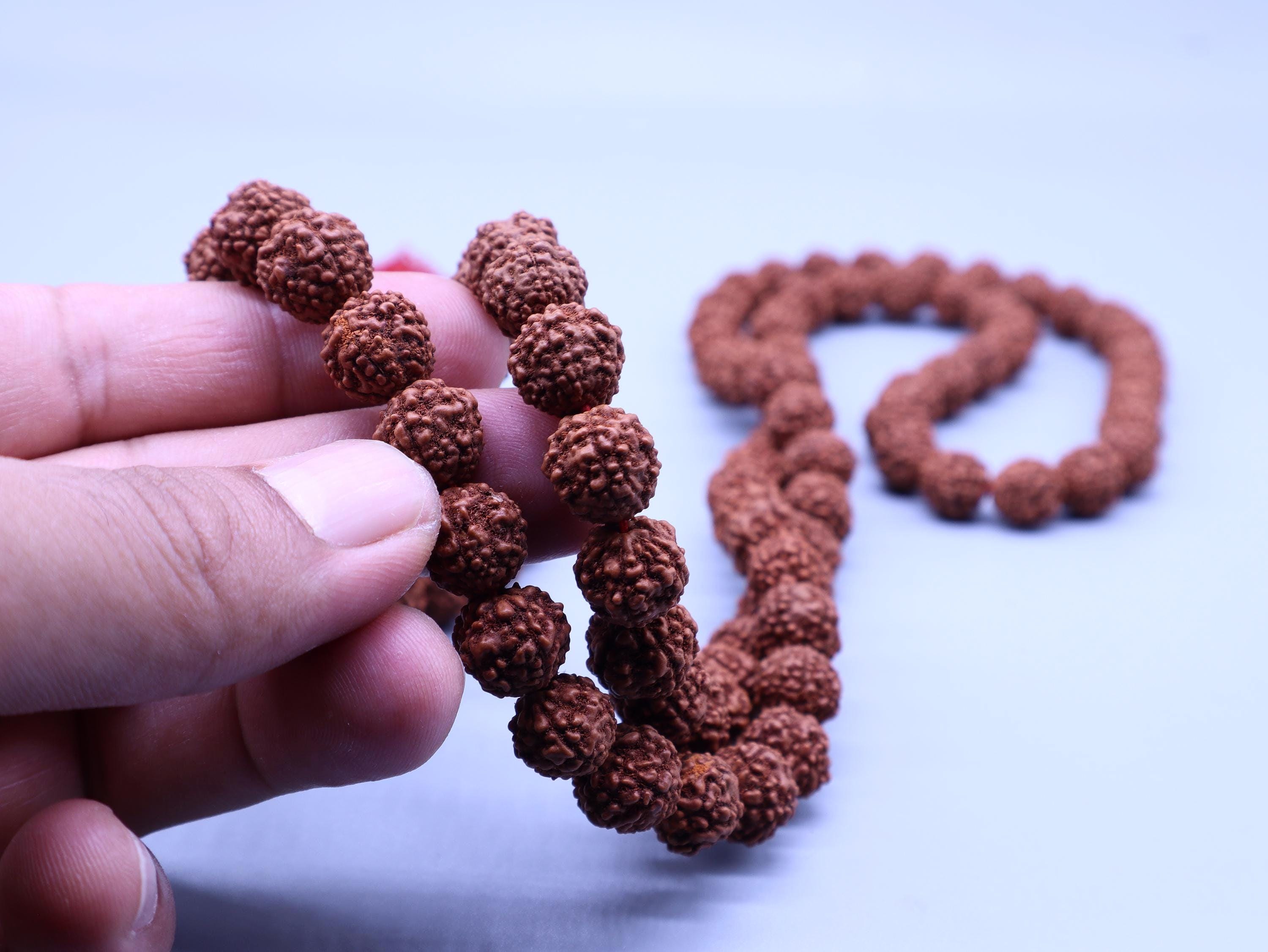 Shiva Prayer Beads Mala, 108+1 Natural Indian Origin Rudraksha Seed Japa Mala, Gifts Included