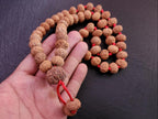 9 Mukhi Rudraksha Mala: Custom Empowerment Necklace, Sacred Meditation Beads