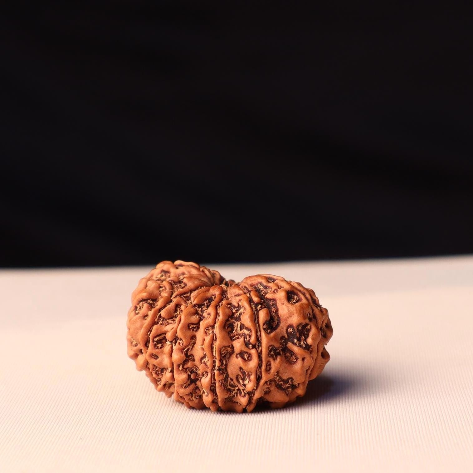 11 Mukhi Rudraksha Bead: Sacred Hanuman Rudrakshya From Nepal