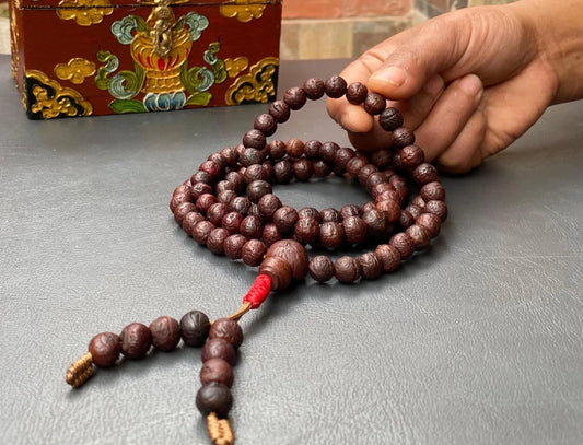 Authentic brown Rudraksha bead mala held by a hand next to a decorative wooden box.