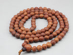 Rare Bodhi Seed Japa Mala: 9-10mm Buddha Chitta Beads, Blessed Tibetan Prayer Necklace