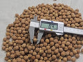 Authentic Bodhi Seed Beads: 7mm-15mm Loose Buddha Prayer Beads, Timal Nepal