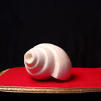 Sankha, Blowing Conch Shell, Naturally Forged Sacred Conch Of Sound And Spirit