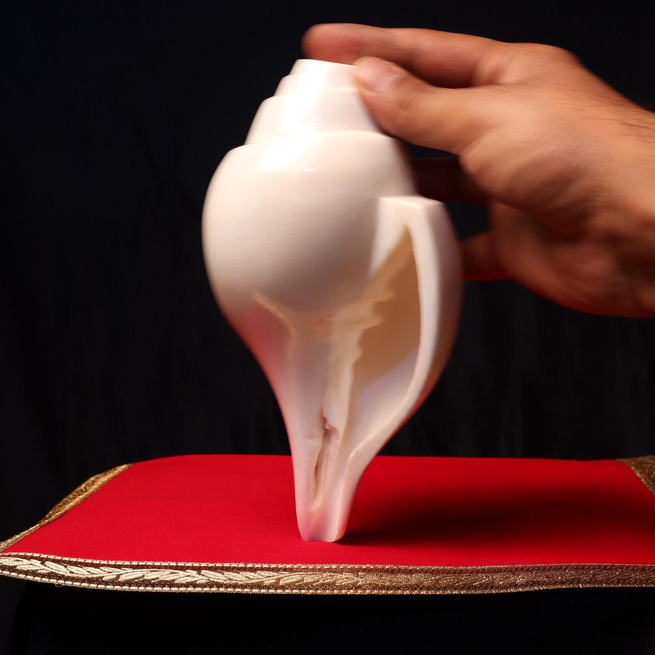 Sankha, Blowing Conch Shell, Naturally Forged Sacred Conch Of Sound And Spirit