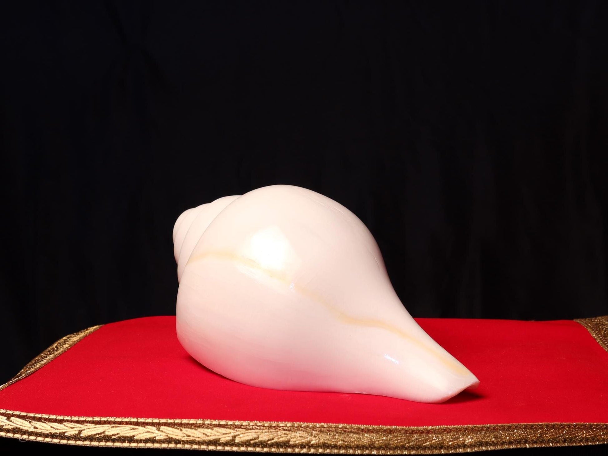 Sankha, Blowing Conch Shell, Naturally Forged Sacred Conch Of Sound And Spirit