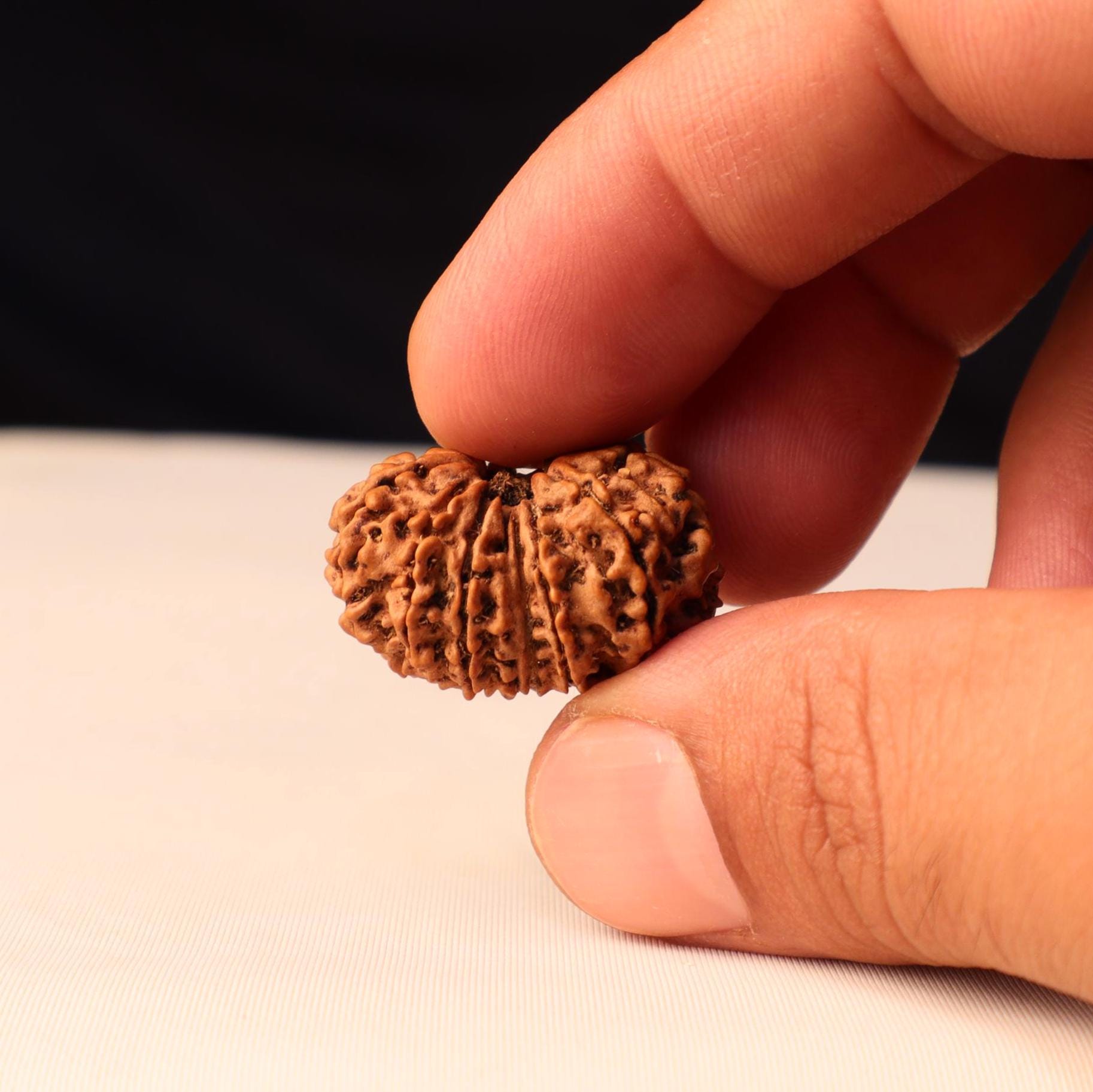 Authentic 14 Mukhi Rudraksha Bead: Nepal Origin, Saturn & Hanuman Blessing