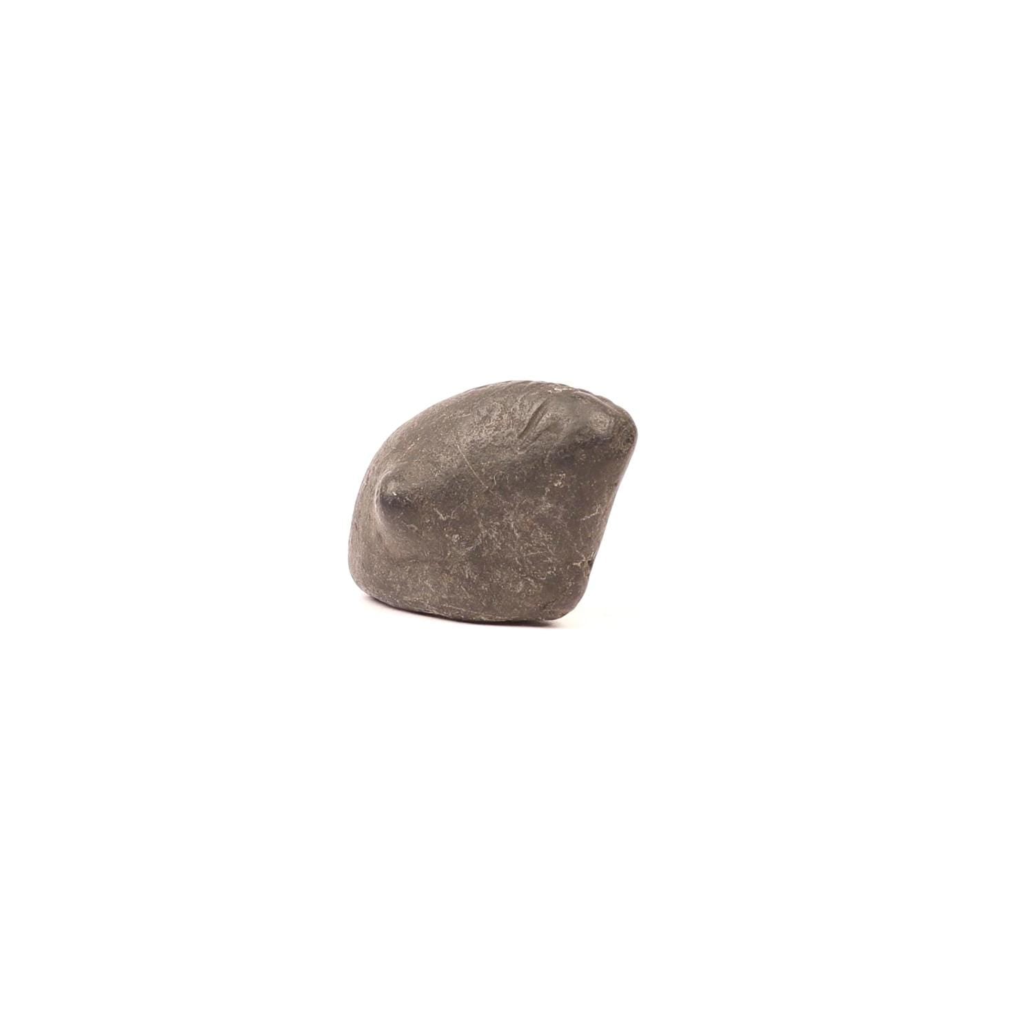 Aditya Shakti Shaligram: Sacred Vishnu Fossil from Kali Gandaki River, Nepal