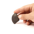 Aditya Shakti Shaligram: Sacred Vishnu Fossil from Kali Gandaki River, Nepal