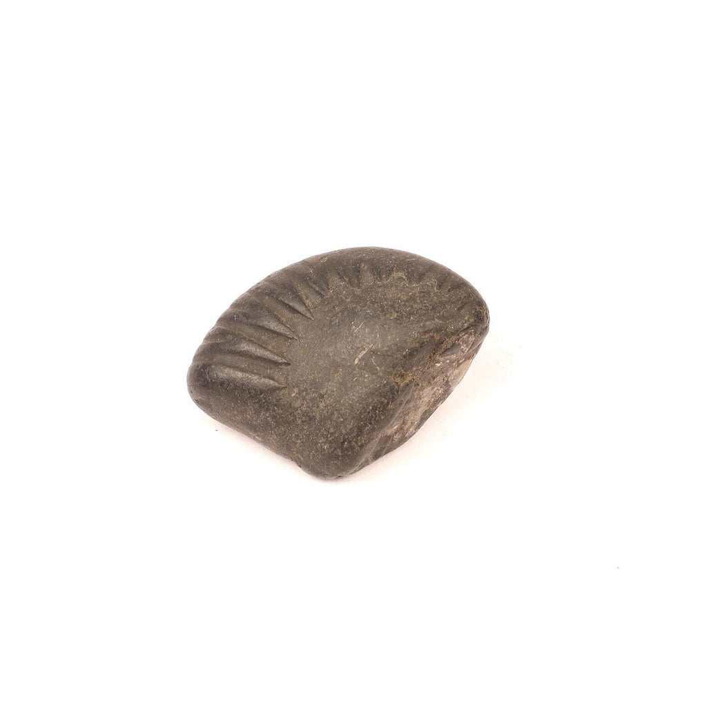 Aditya Shakti Shaligram: Sacred Vishnu Fossil from Kali Gandaki River, Nepal