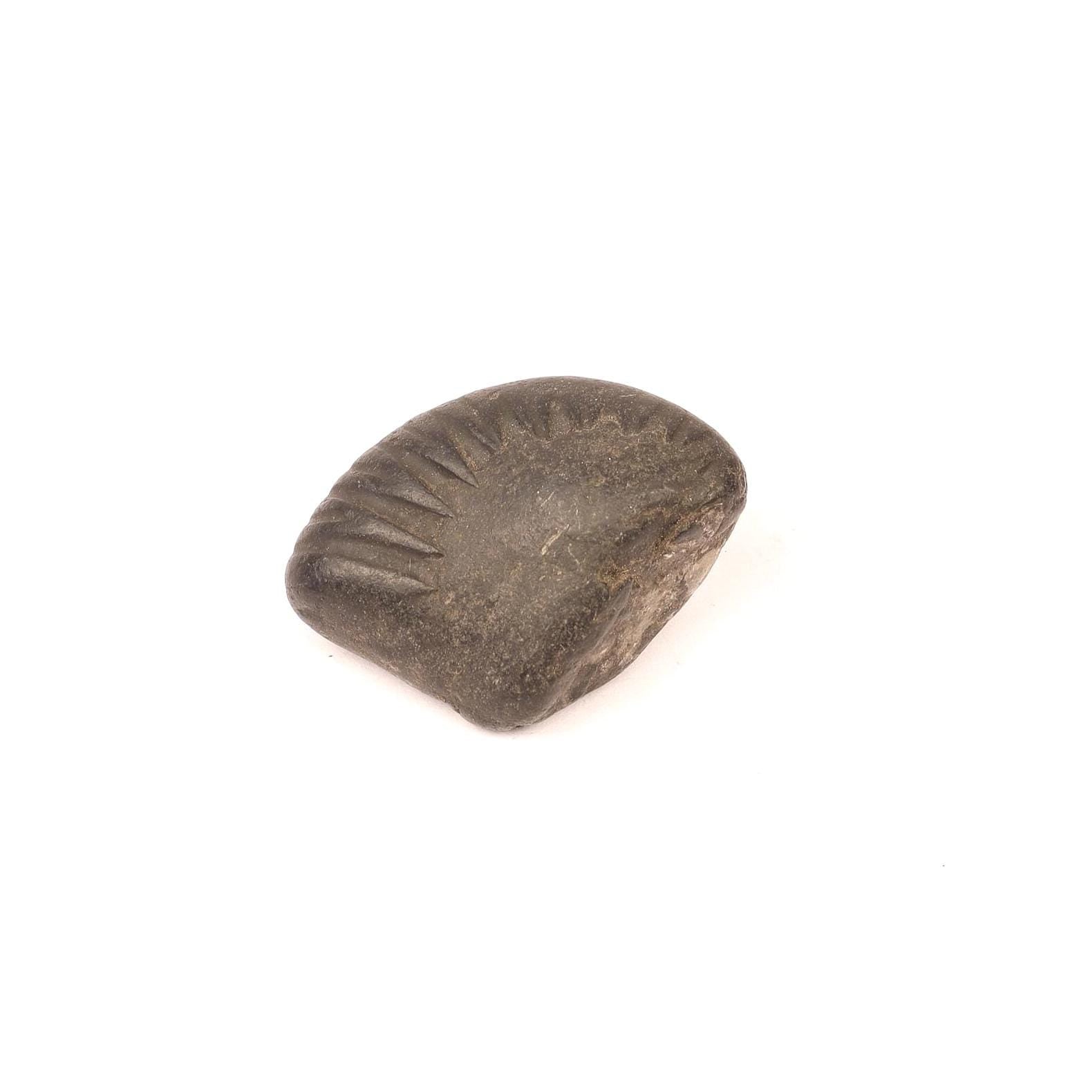 Aditya Shakti Shaligram: Sacred Vishnu Fossil from Kali Gandaki River, Nepal