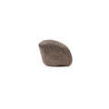 Holy Nepal Sacred Shaligram, Kali Gandaki Shila