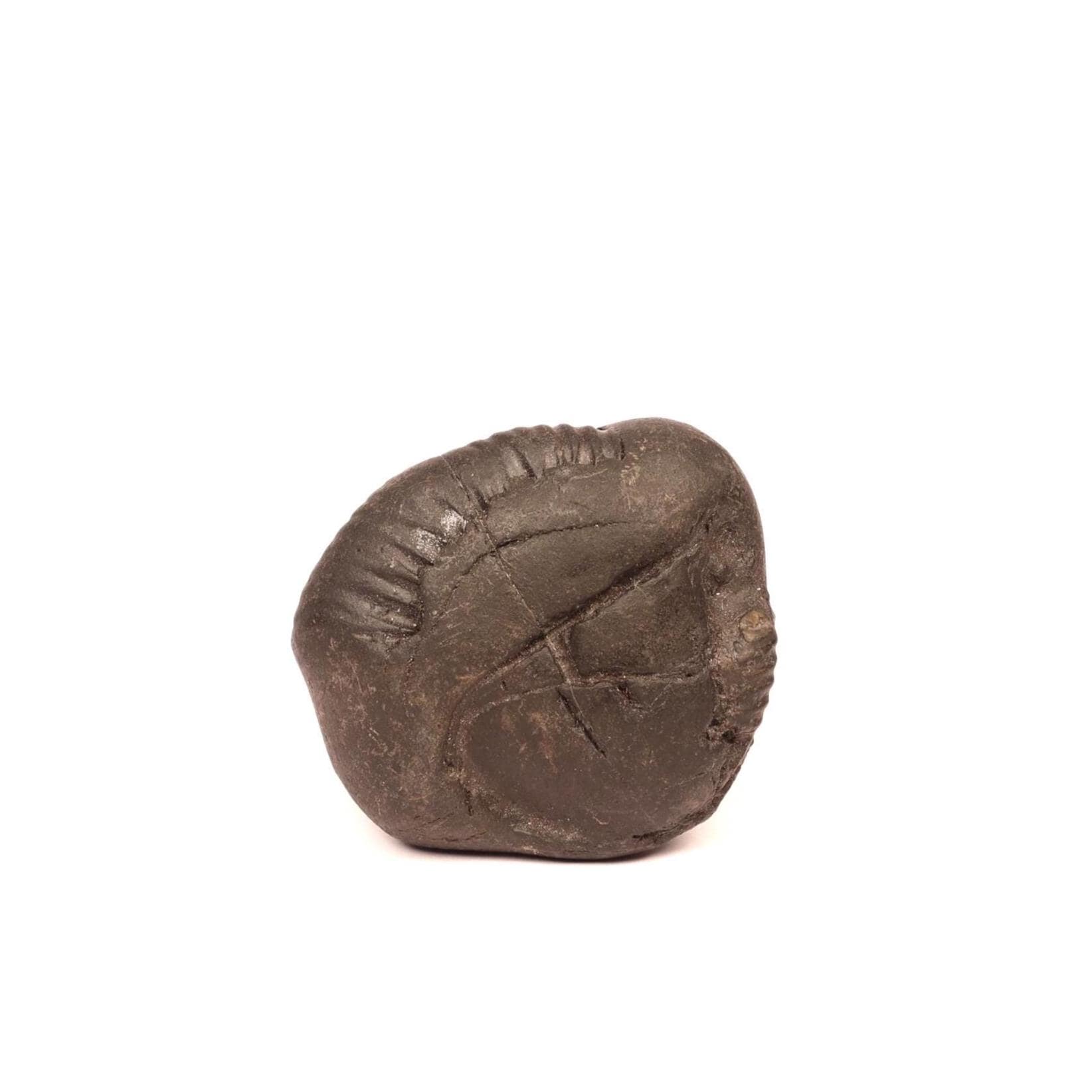 Shaligram Shila: Lord Shiva Stone - Kali Gandaki River, Nepal