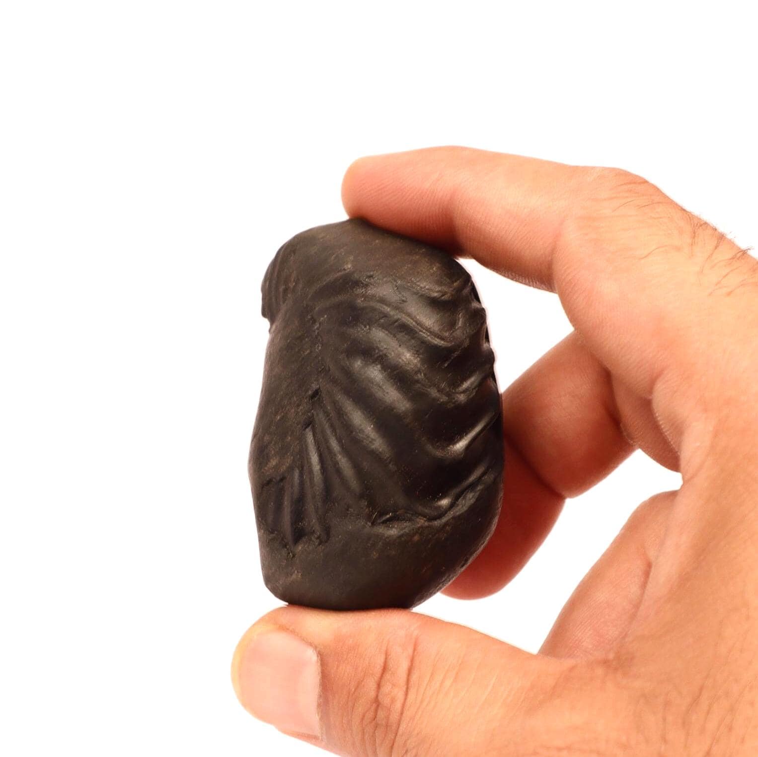 Natural Ganesha Shaligram Stone: Good Luck, Obstacle Remover