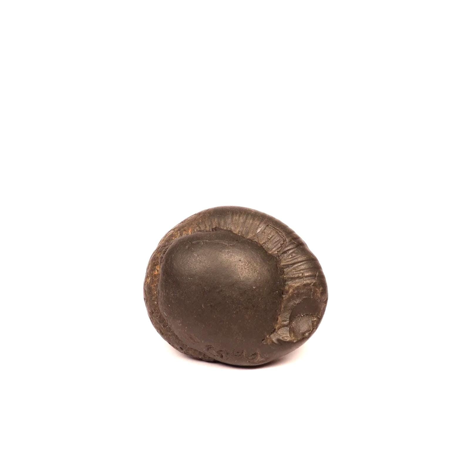 Surya Sun Shaligram - Natural Hindu Sun God Deity Stone