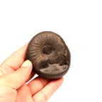 Surya Sun Shaligram - Natural Hindu Sun God Deity Stone