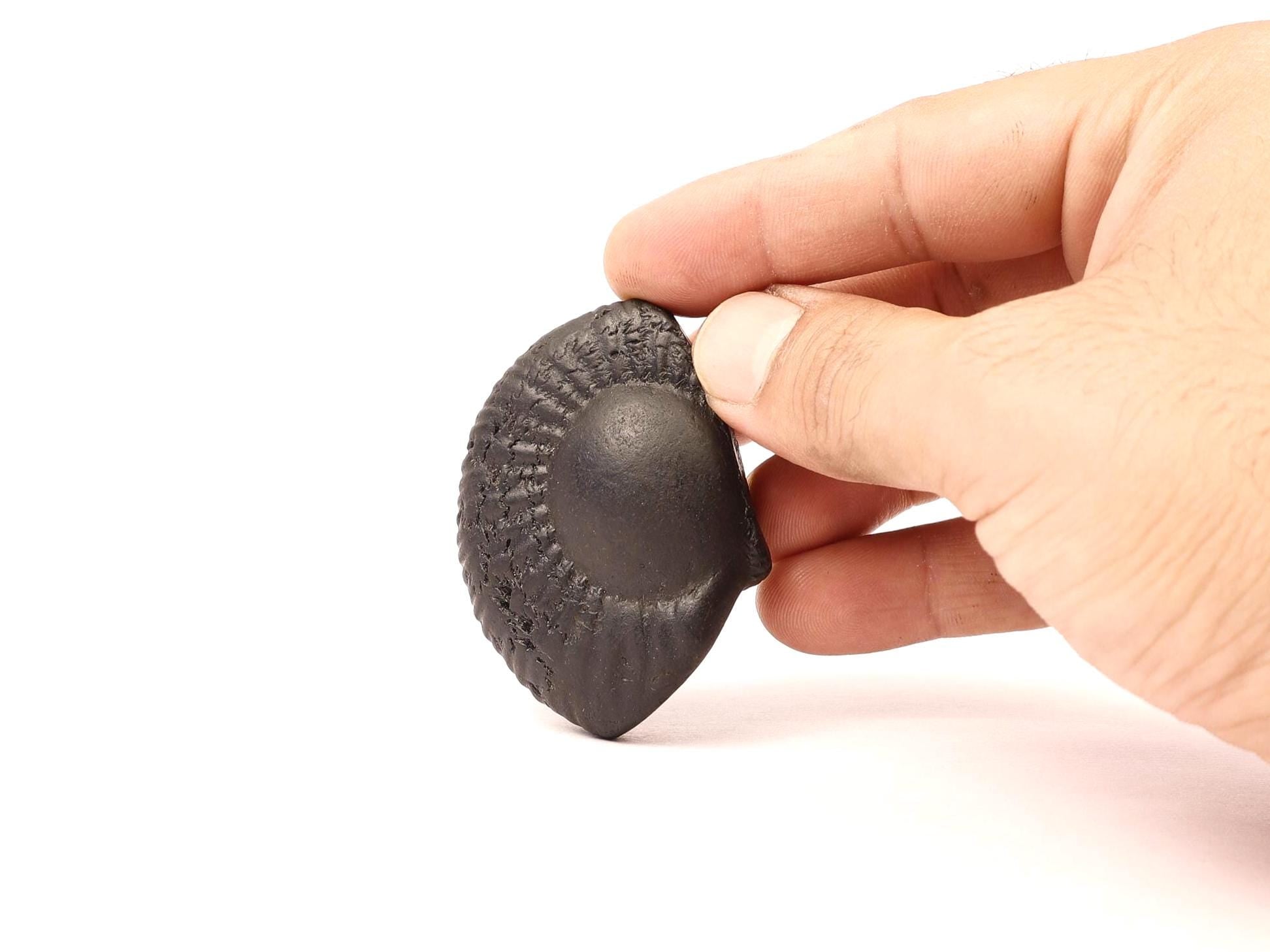 Chakra Mukhi Shaligram, Markings Resembling Radiating Chakras, Linked to Vishnu’s Wheel of Dharma