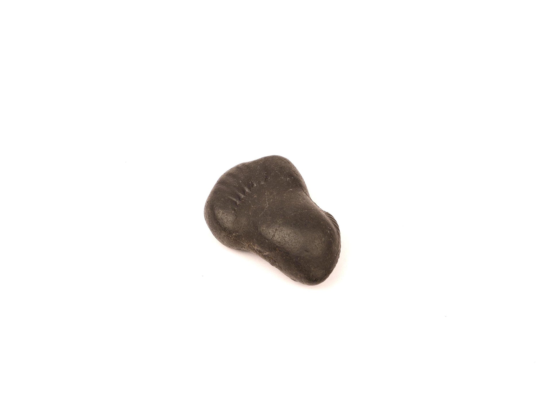 Sacred Shaligram – Birth Power Stone For The Brave And Fearless August Born, Birthday Gift