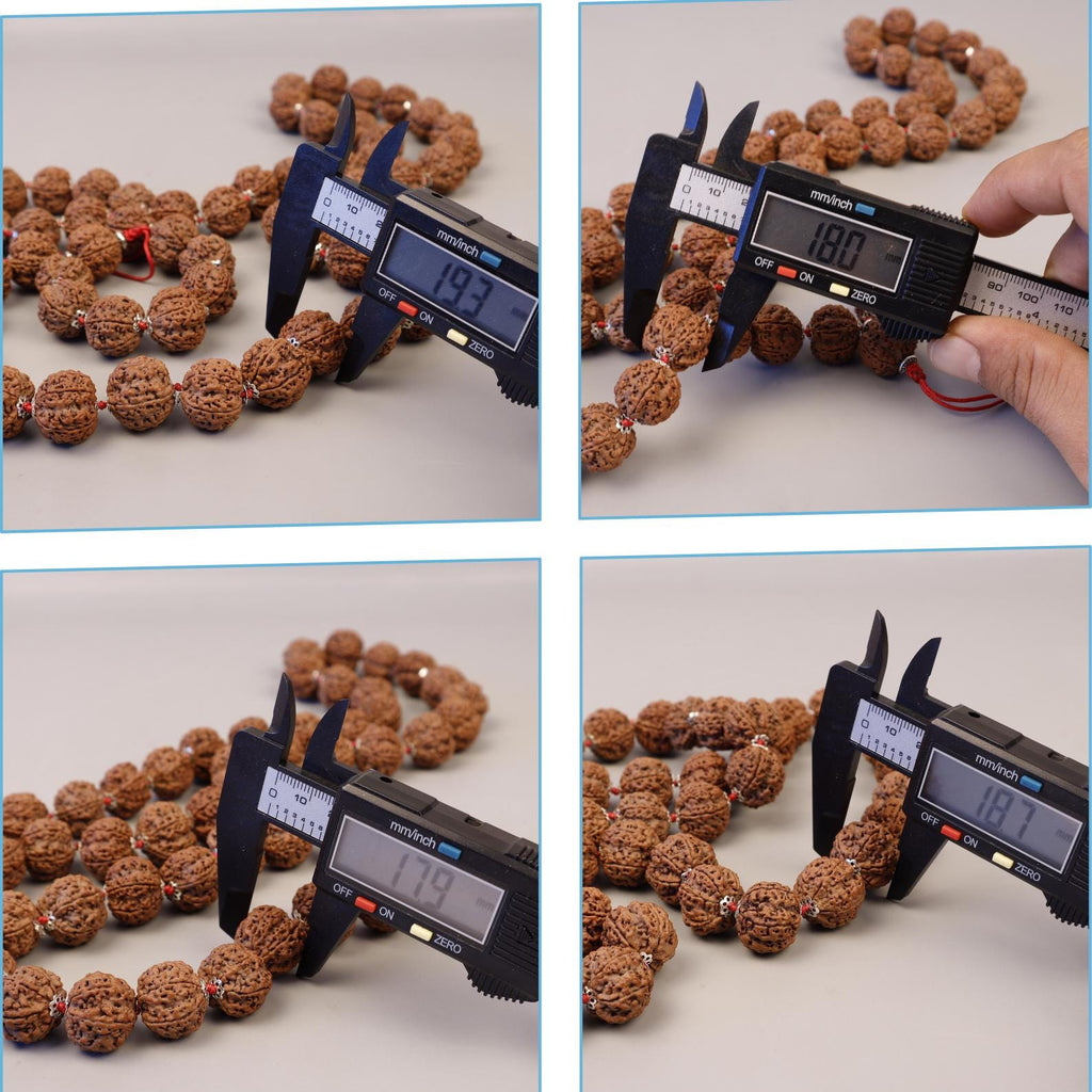 Six Mukhi Rudraksha Mala, Genuine Himalayan Prayer Beads
