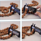 Six Mukhi Rudraksha Mala, Genuine Himalayan Prayer Beads