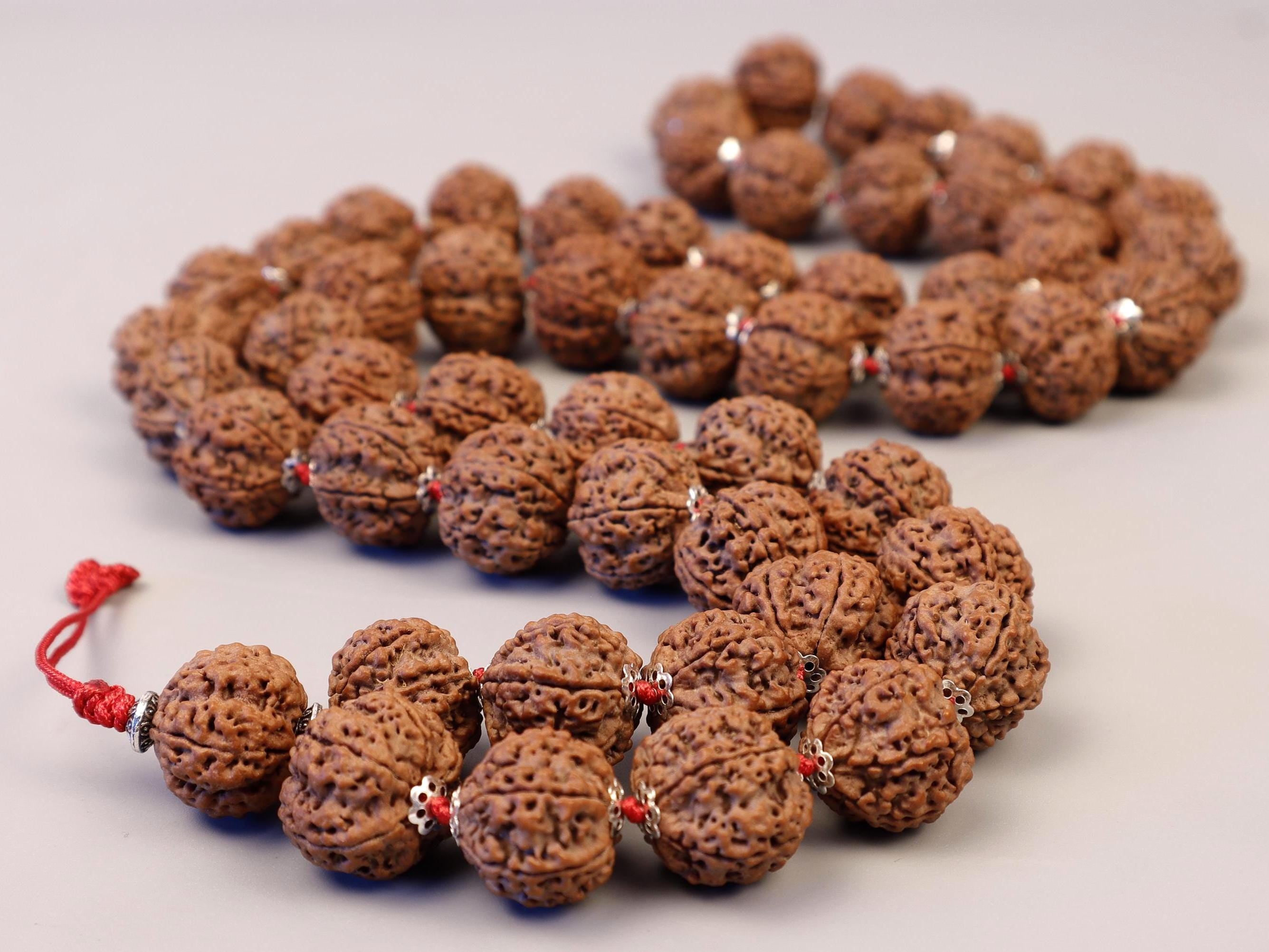 Six Mukhi Rudraksha Mala – Genuine Himalayan Prayer Beads