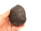 Shaligram Shila: Lord Shiva Stone - Kali Gandaki River, Nepal
