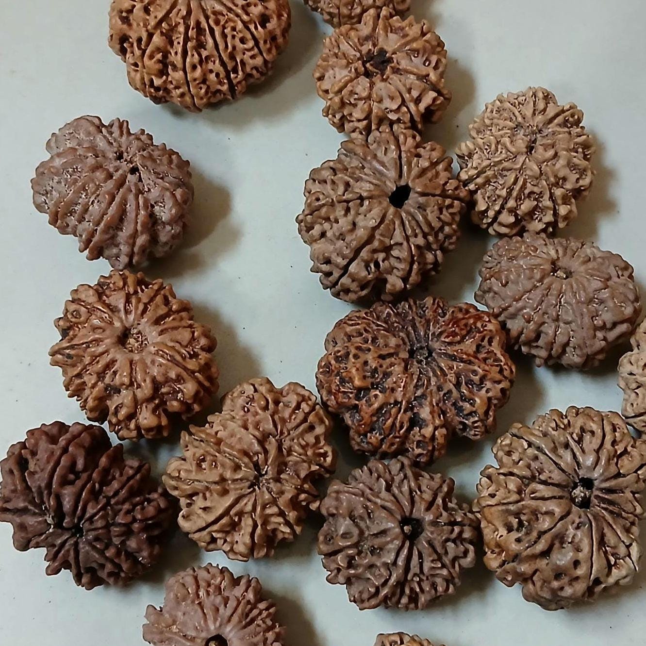 Ma Durga 9 Mukhi Rudraksha Mala, 54+1 Beads Made To Order