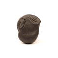Vajra Keelak Shaligram: Sacred Vishnu Fossil Stone From Nepal