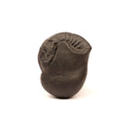 Vajra Keelak Shaligram: Sacred Vishnu Fossil Stone From Nepal